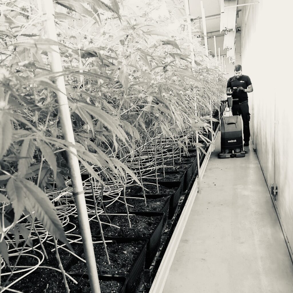 52ff0d52-7228-40d9-b6b7-4d18a88834c6